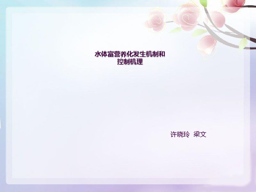 水体富营养化ppt课件
