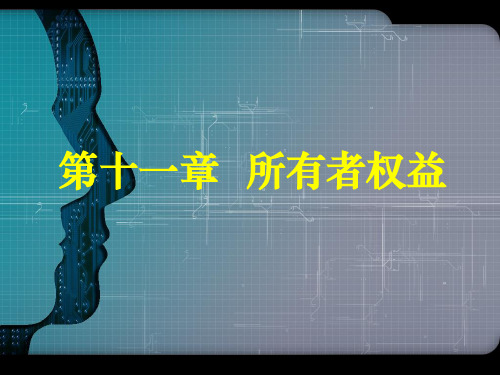 11所有者权益