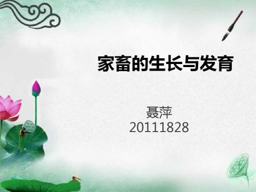 家畜的生长与发育 2