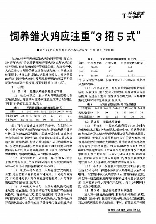 饲养雏火鸡应注重“3招5式”