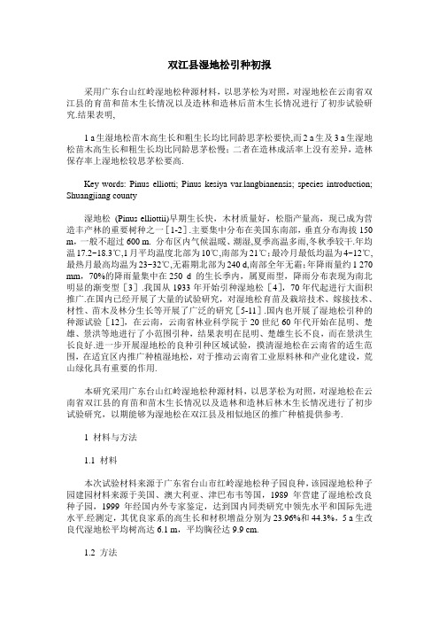 双江县湿地松引种初报