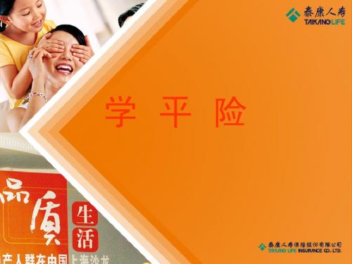 11学平险简介