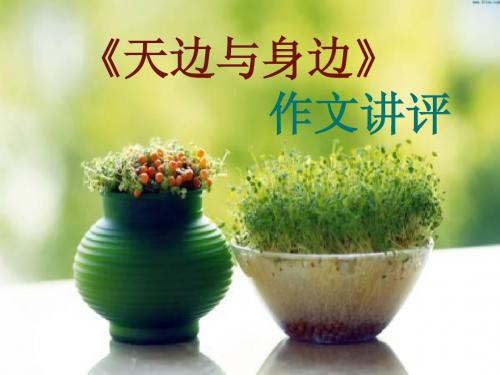 天边与身边作文讲评