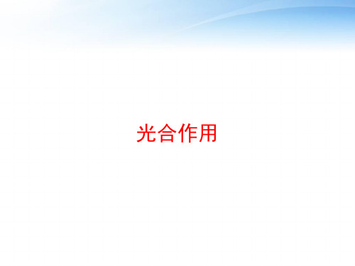 光合作用 ppt课件
