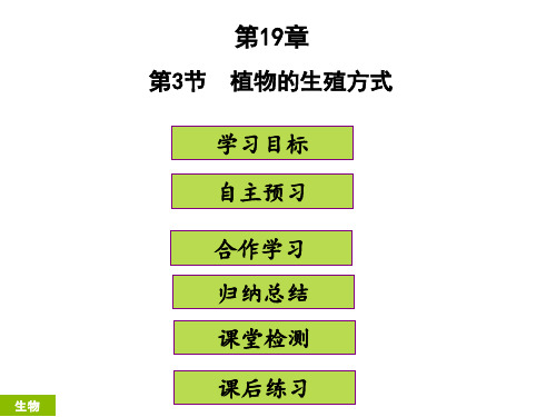 最新部编人教版八年级生物下册第19章第3节《植物的生殖方式》精品ppt课件
