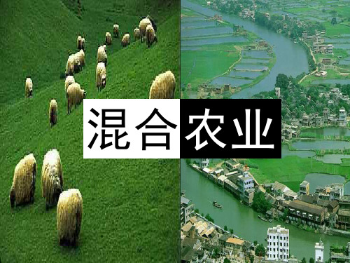 混合农业