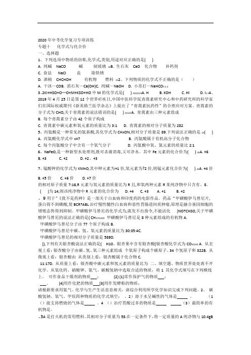 2020中考化学复习专项训练  专题十 化学式和化合价