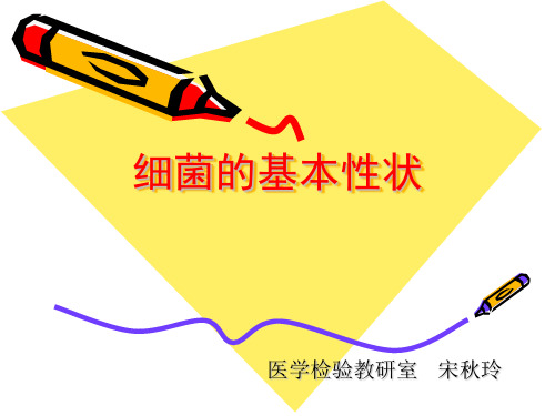 细菌的形态与结构
