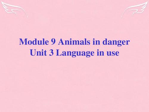 外研社八年级英语Module 9 Animals in danger Unit 3 (ppt)