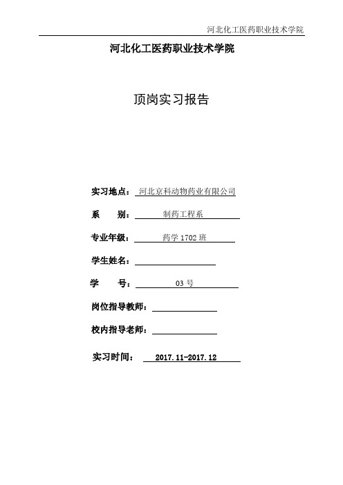 大学论文 顶岗实习报告