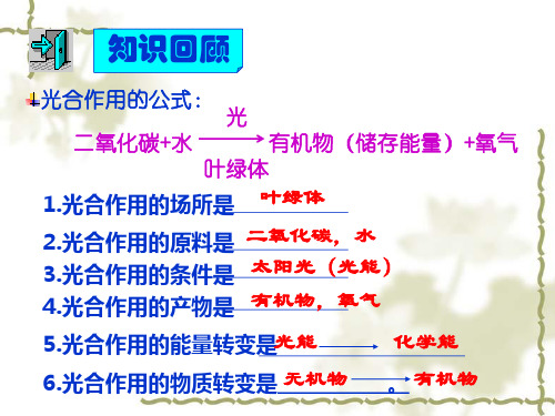 浙教版科学《生物的呼吸和呼吸作用》ppt课件3