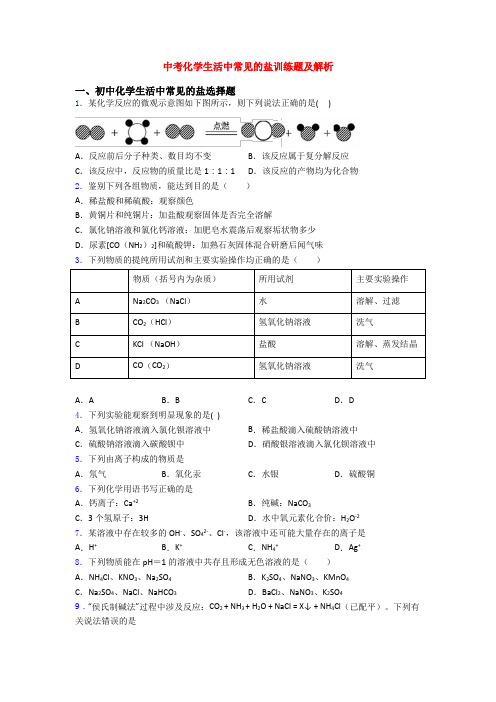 中考化学生活中常见的盐训练题及解析