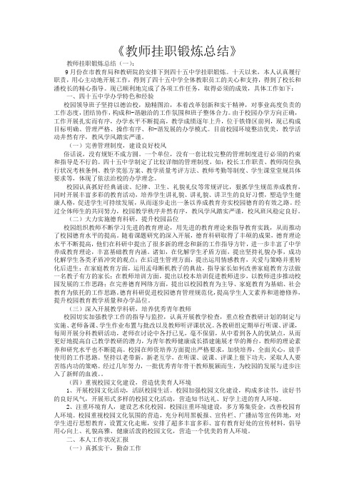 教师挂职锻炼总结15篇