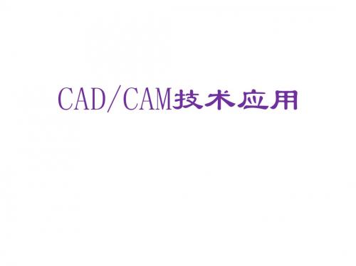 CADCAM技术应用第四章