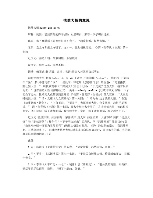 恍然大悟的意思