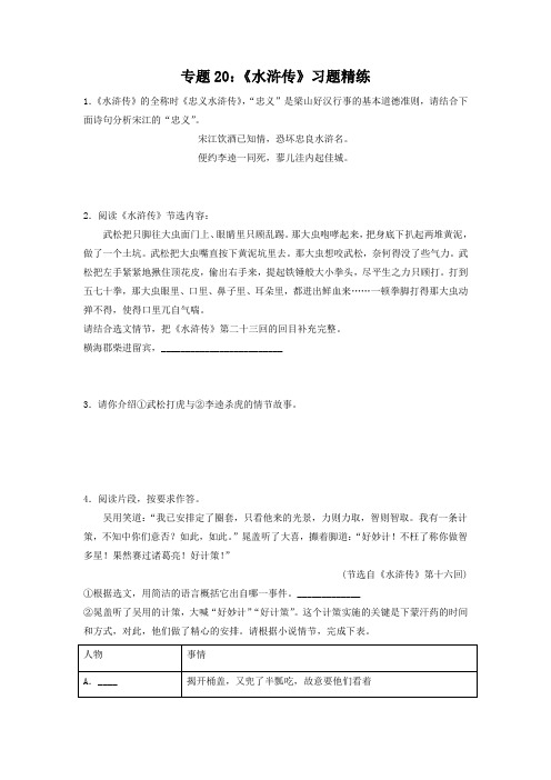 中考语文复习专题20《水浒传》习题精练(原卷版)