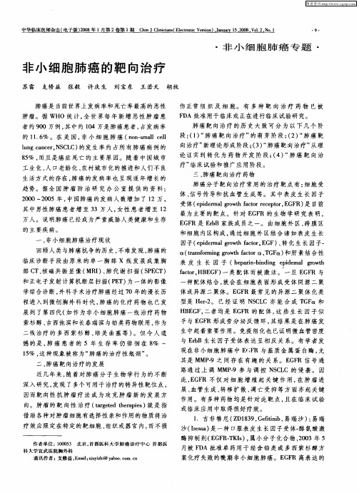 非小细胞肺癌的靶向治疗