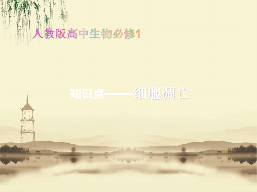 高中生物必修1教学课件知识点-细胞的凋亡