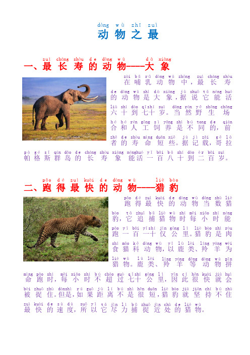 动物之最