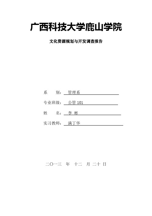 巴马文化资源开发与调查实习报告