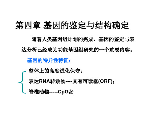 第四章 基因的鉴定与表达分析