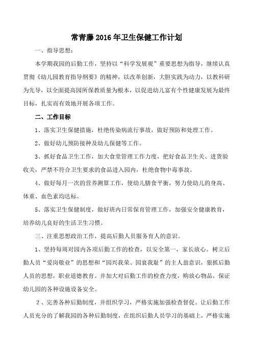 2016年卫生保健工作计划