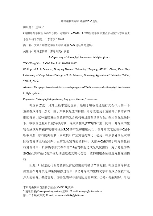 高等植物叶绿素降解的途径