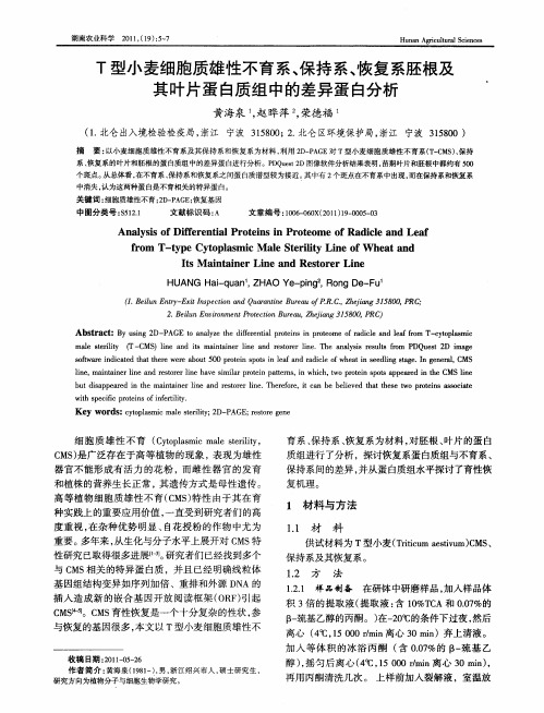 T型小麦细胞质雄性不育系、保持系、恢复系胚根及其叶片蛋白质组中的差异蛋白分析