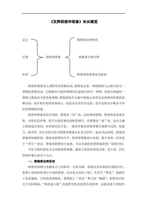 《发挥联想和想象》知识概览