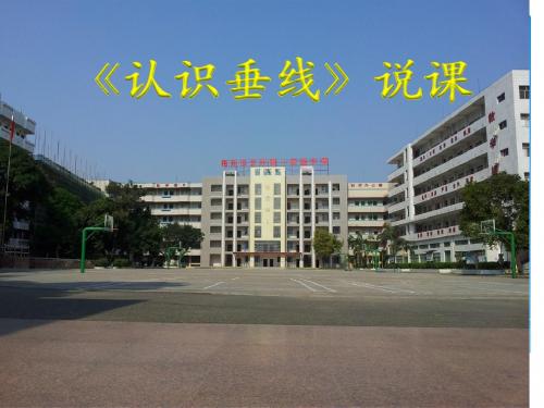 认识垂线说课