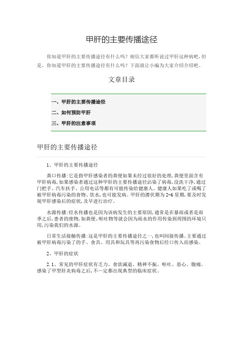 甲肝的主要传播途径
