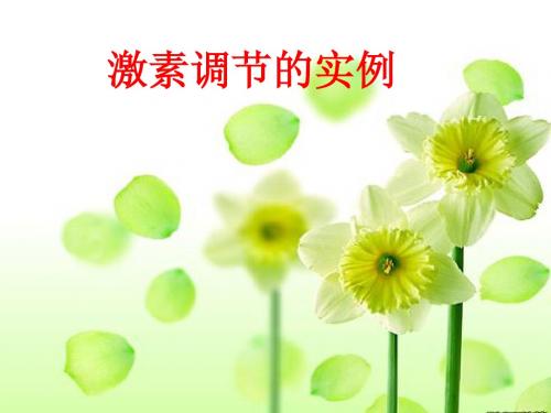激素调节实例