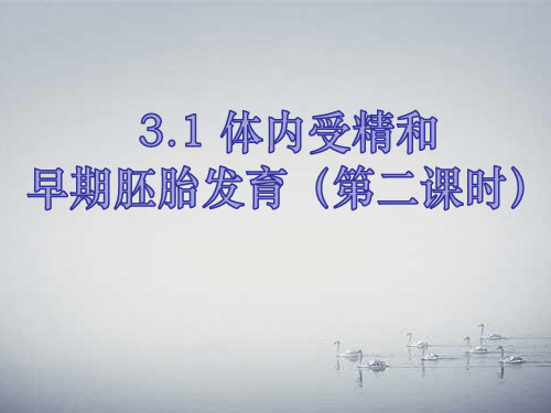 体内受精和早期胚胎发育课件 (公开课)