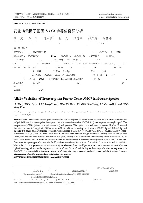 花生转录因子基因NAC4的等位变异分析