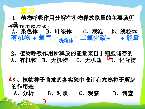 吸收作用-课件