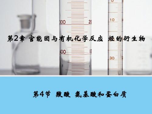 高二化学鲁科版选修5课件：2.4 羧酸  氨基酸和蛋白质 1