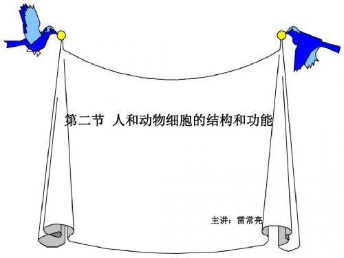 动物细胞的结构和功能