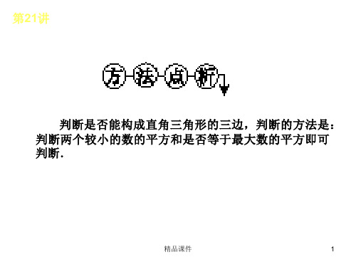 【精品语文课件】2020(新增6页)教版中考数学复习解题指导：第21讲 直角三角形与勾股定理_16-