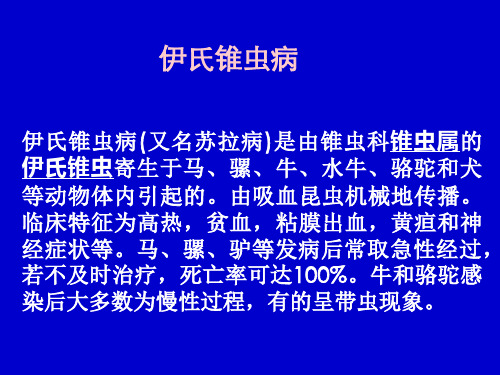 伊氏锥虫、巴贝斯虫ppt课件