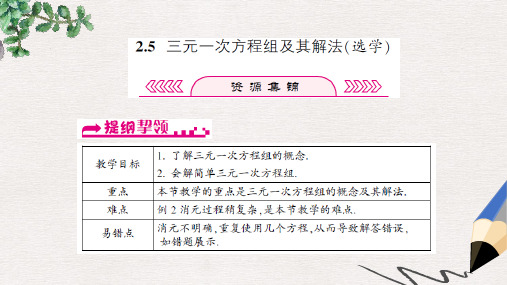 七年级数学下册第2章二元一次方程组2.5三元一次方程组及其解法选学课件新版浙教版