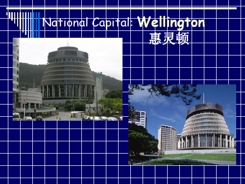 《英语国家概况》History of New Zealand课件