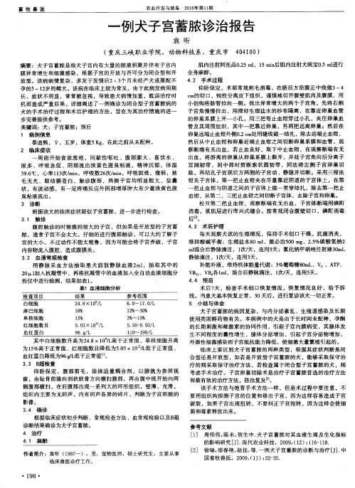 一例犬子宫蓄脓诊治报告