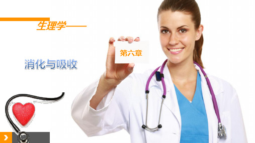《生理学》第六章