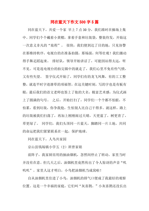同在蓝天下作文500字5篇