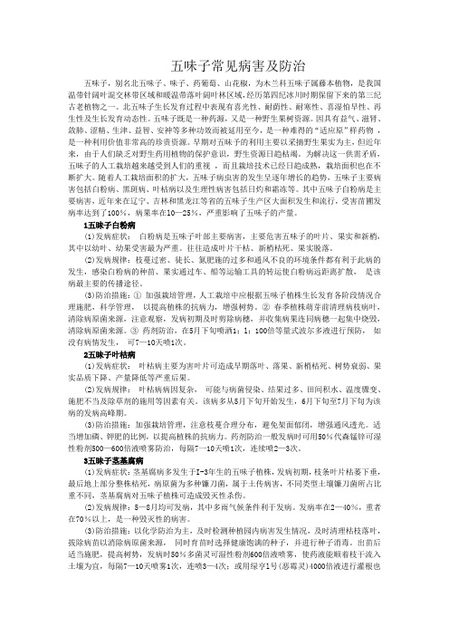 五味子常见病害及防治