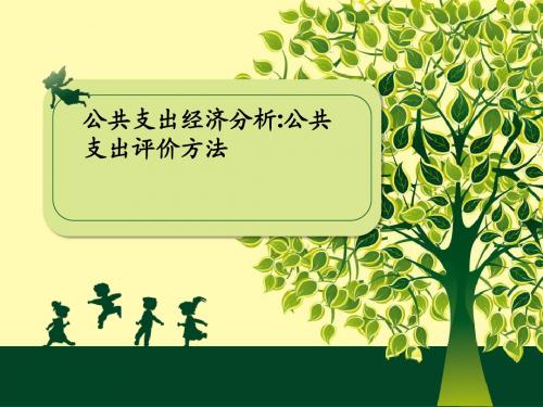 公共支出经济分析7：公共支出评价方法