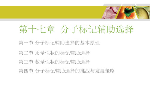 分子标记辅助选择