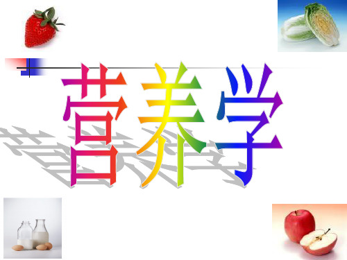 第四章食品营养价值分析与烹饪加工方法