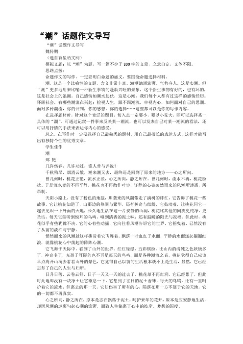 “潮”话题作文导写
