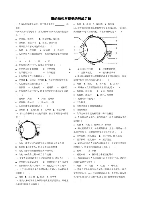 眼睛结构